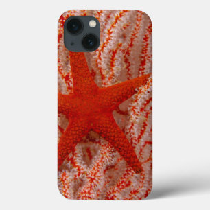 Funda Para iPhone 13 Tailandia, Estrella de Mar