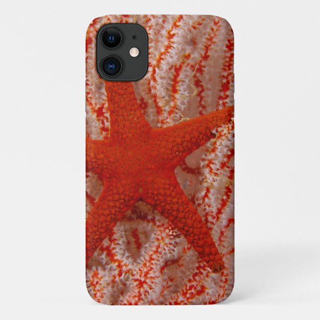 Funda De Case-Mate Para iPhone Tailandia, Estrella de Mar (Reverso)