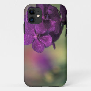 title_seo2 Tailandia, norte de Tailandia, cerca de Chang Mai,