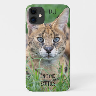 Funda Para iPhone 11 Taji -