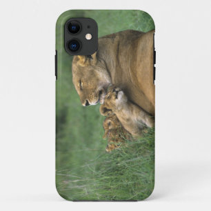 Funda Para iPhone 11 Tanzania, cráter de Ngorongoro. Madre de león afri