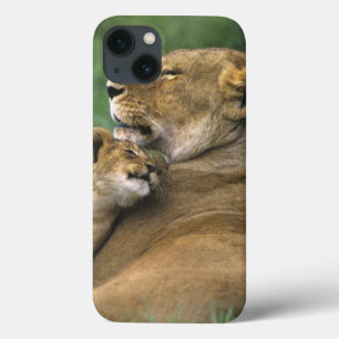 Funda Para iPhone 13 Tanzania, cráter de Ngorongoro. Madre de león afri