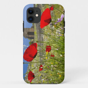 Funda Para iPhone 11 Teatro antiguo en la Acrópolis de Pérgamo