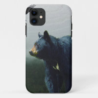 Tema de la vida salvaje del oso negro