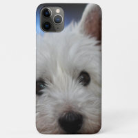 Terrier blanco y occidental extremadamente lindo