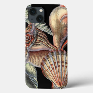Funda Para iPhone 13 Tesoros del mar