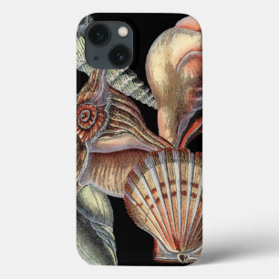 Funda Para iPhone 13 Tesoros del mar