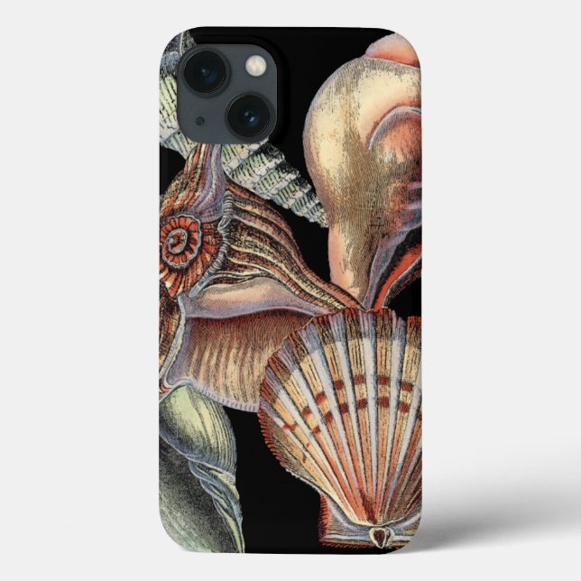 Funda De Case-Mate Para iPhone Tesoros del mar (Reverso)