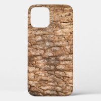 Textura de corteza de árbol, fondo de madera natur