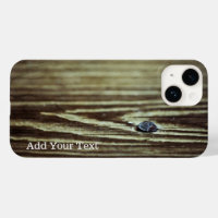 Textura de grano de madera de Shirley Taylor