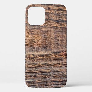 Funda Para iPhone 12 Textura de la vista superior de la madera antigua.