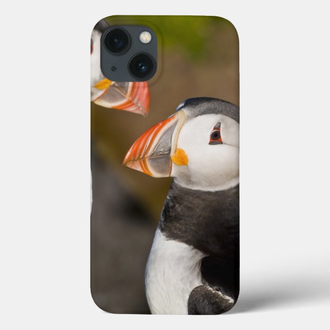 Funda De Case-Mate Para iPhone The Atlantic Puffin (Reverso)