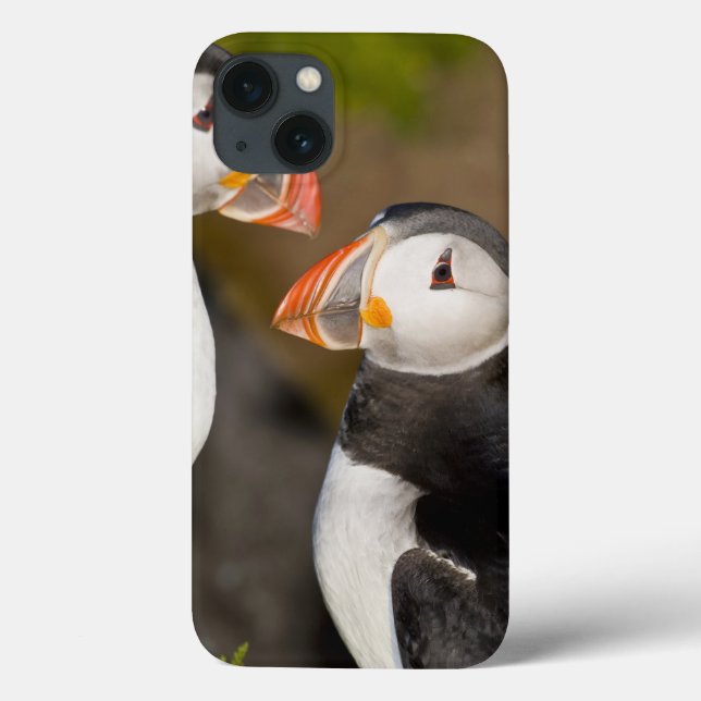 Funda De Case-Mate Para iPhone The Atlantic Puffin (Reverso)