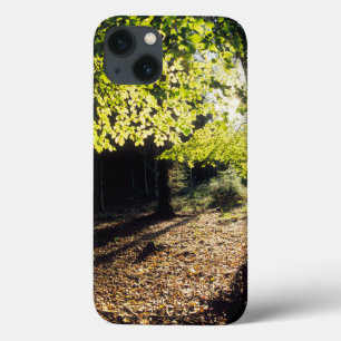 Funda Para iPhone 13 The Woods in Spring