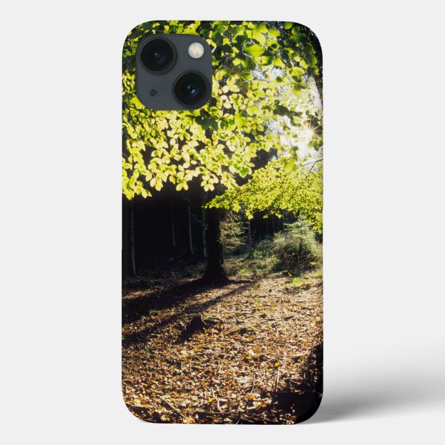 Funda De Case-Mate Para iPhone The Woods in Spring (Reverso)