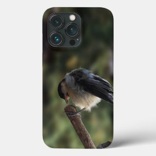 Funda Para iPhone 13 Pro Tidi my Bird the Parus Major