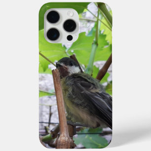 Funda Para iPhone 15 Pro Max Tidi my Bird the Parus Major