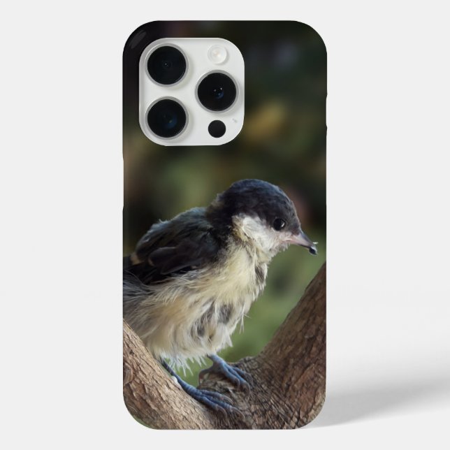 Funda De Case-Mate Para iPhone Tidi my Bird the Parus Major (Reverso )