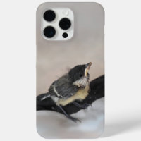 Tidi my Bird the Parus Major
