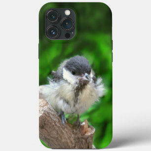 Funda Para iPhone 13 Pro Max Tidi my Bird the Parus Major