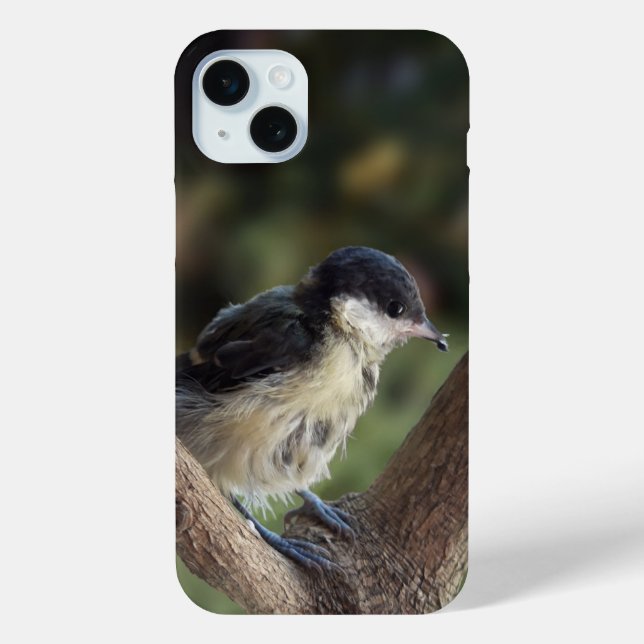 Funda De Case-Mate Para iPhone Tidi my Bird the Parus Major (Reverso )
