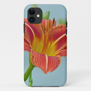 title_seo2 Tiger Daylily