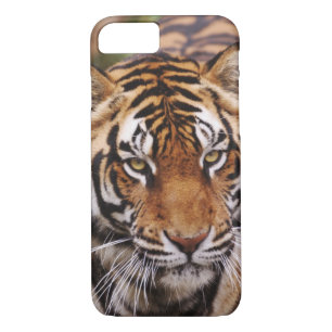 Funda Para iPhone 8/7 Tigre de Bengala, Panthera tigris