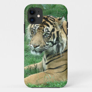 Funda Para iPhone 11 Tigre de Sumatra en el iPhone 5 Barely There