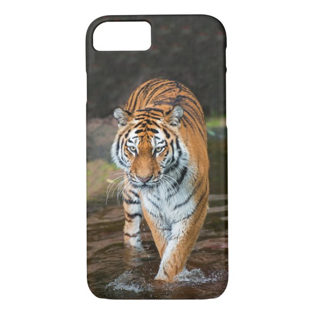 Funda De Case-Mate Para iPhone Tigre en el río (Reverso)