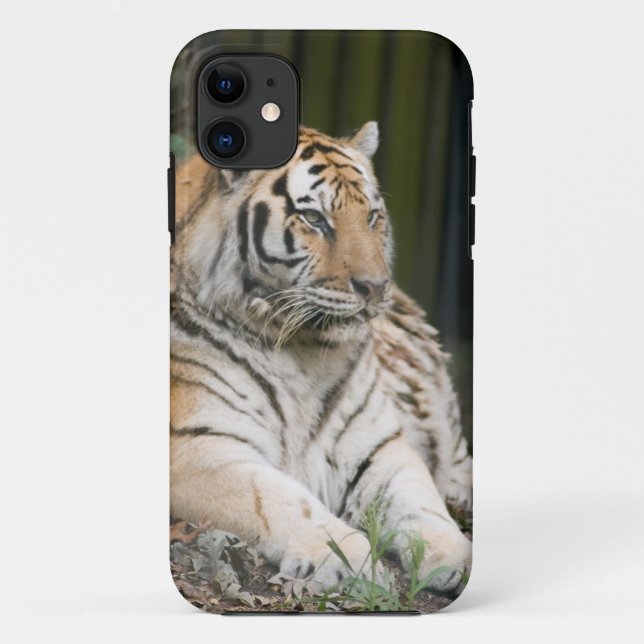 Funda De Case-Mate Para iPhone Tigre siberiano (Reverso)