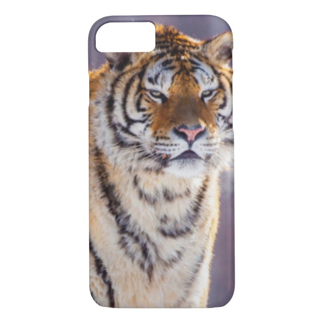 Funda De Case-Mate Para iPhone Tigre siberiano en la nieve, China (Reverso)