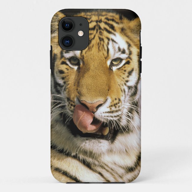Funda De Case-Mate Para iPhone Tigre Zoológico de Michigan (Reverso)