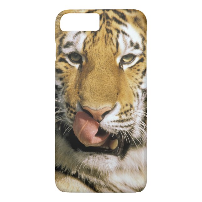 Funda De Case-Mate Para iPhone Tigre Zoológico de Michigan (Reverso)