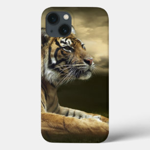 title_seo2 Tigres mirando y sentados bajo un cielo dramático