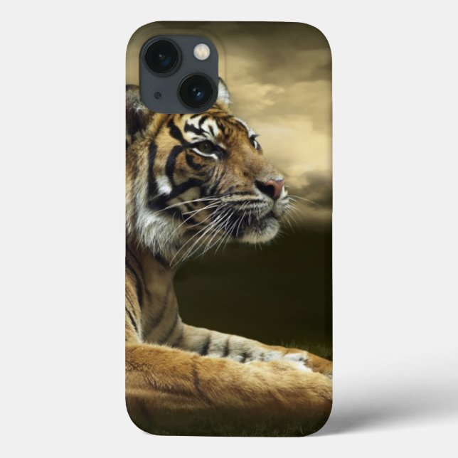 Funda De Case-Mate Para iPhone Tigres mirando y sentados bajo un cielo dramático (Reverso)