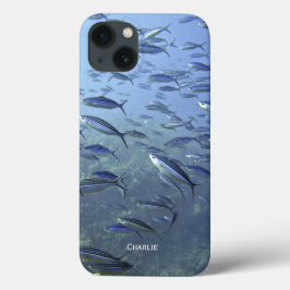title_seo2 Tiro de pescado. Submarinismo. Personalice.