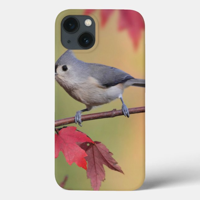 Funda De Case-Mate Para iPhone Titmice copetudos (Reverso)