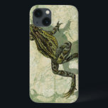 Funda Para iPhone 13 Toad Swinning in the Water<br><div class="desc">Vision Studio is using the giclée (French for “to spray”) technique in this art piece. It makes it unique and the different shades of green emphasize the peacefulness on this image. Choose this piece of artwork for your next Zazzle product.</div>