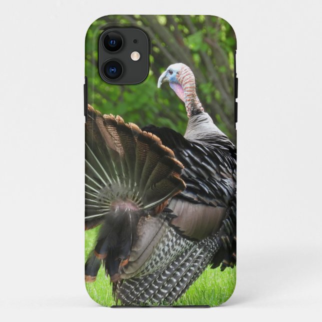 Funda De Case-Mate Para iPhone Tom Turkey Feather Display (Reverso)
