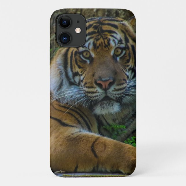 Funda De Case-Mate Para iPhone tonalidad (Reverso)