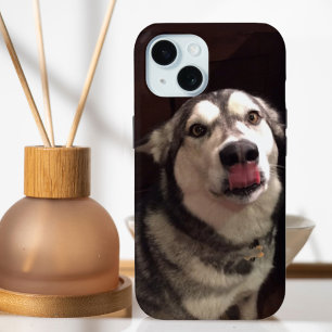 Funda Para iPhone 15 Tongue Teasing Alaskan Malamute Fotografía