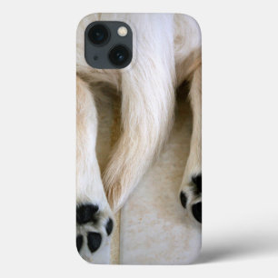 Funda Para iPhone 13 Toques de Cachorro de Golden Retriever