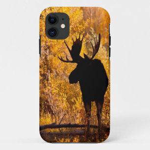 Funda Para iPhone 11 Toro De Moose (Alces Alces) En Goloncitos Dorados