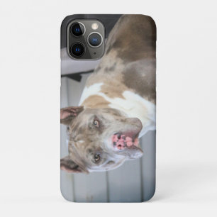 Funda Para iPhone 11 Pro Toro de Pitt