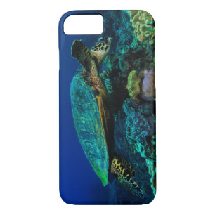 Funda Para iPhone 8/7 Tortuga de mar de Hawksbill en la gran barrera de