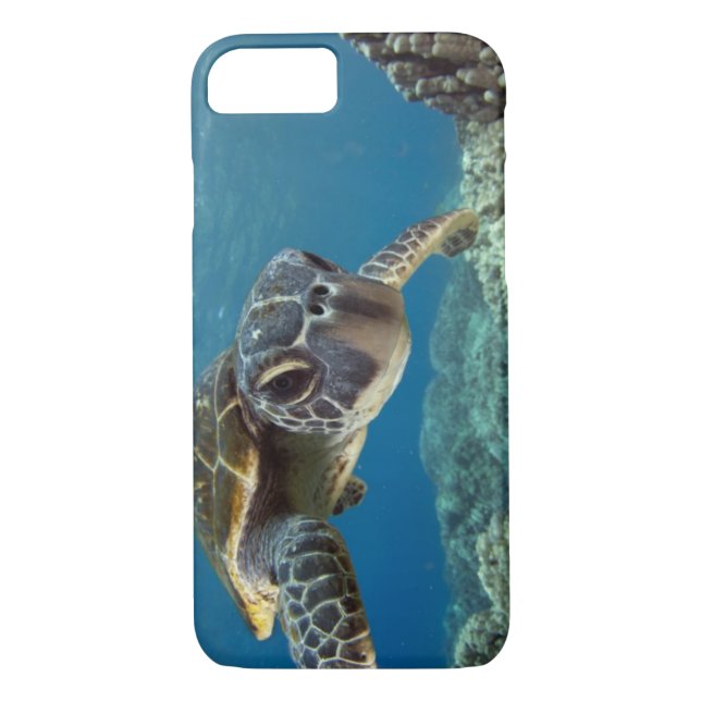 Funda De Case-Mate Para iPhone Tortuga de mar verde hawaiana (Reverso)