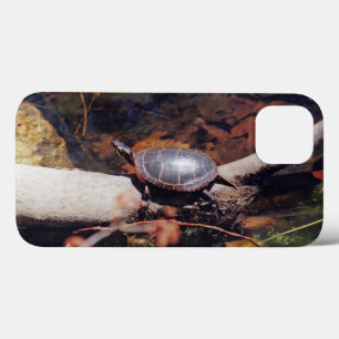 title_seo2 Tortuga Feliz