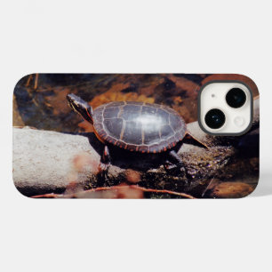 title_seo2 Tortuga feliz