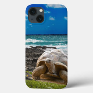 Funda Para iPhone 13 Tortuga grande en el borde del mar