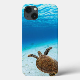 Funda Para iPhone 13 Tortuga marina verde, tortuga verde, tortuga marin